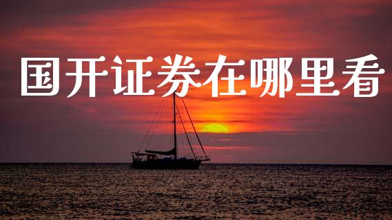 国开证券在哪里看_https://m.15771688.com_期货开户_第1张