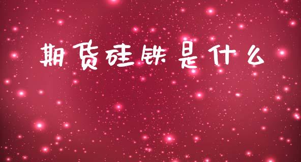 期货硅铁是什么_https://m.15771688.com_美国道指_第1张