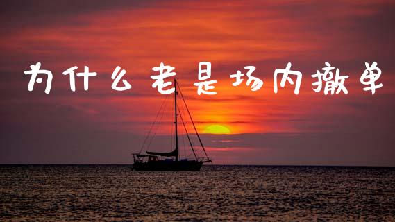 为什么老是场内撤单_https://m.15771688.com_美国道指_第1张