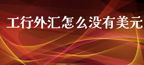 工行外汇怎么没有美元_https://m.15771688.com_道指实时行情_第1张