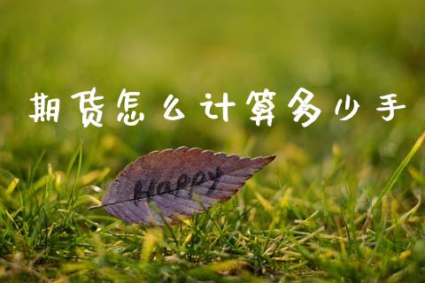期货怎么计算多少手_https://m.15771688.com_道指实时行情_第1张