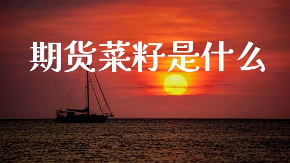 期货菜籽是什么_https://m.15771688.com_期货开户_第1张