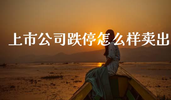 上市公司跌停怎么样卖出_https://m.15771688.com_期货开户_第1张