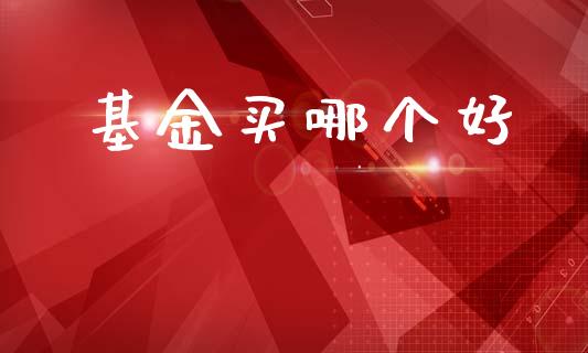 基金买哪个好_https://m.15771688.com_期货开户_第1张