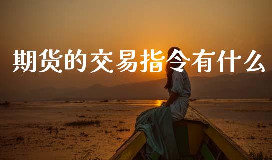 期货的交易指令有什么_https://m.15771688.com_道指实时行情_第1张