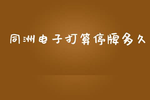 同洲电子打算停牌多久_https://m.15771688.com_道指实时行情_第1张