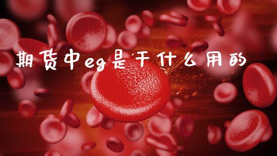 期货中eg是干什么用的_https://m.15771688.com_美国道指_第1张