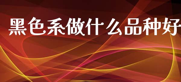 黑色系做什么品种好_https://m.15771688.com_期货手续费_第1张