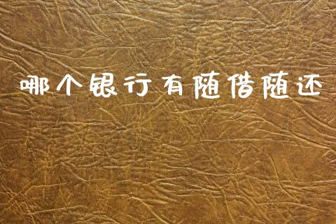 哪个银行有随借随还_https://m.15771688.com_美国道指_第1张