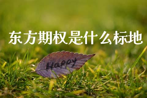 东方期权是什么标地_https://m.15771688.com_期货开户_第1张