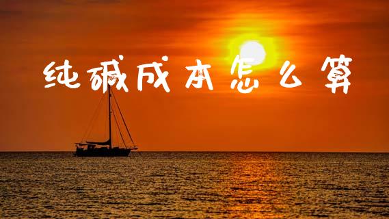 纯碱成本怎么算_https://m.15771688.com_道指实时行情_第1张