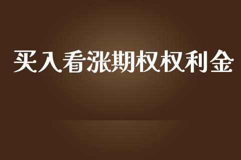 买入看涨期权权利金_https://m.15771688.com_期货开户_第1张