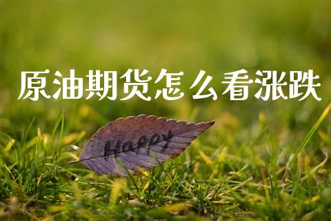 原油期货怎么看涨跌_https://m.15771688.com_期货手续费_第1张