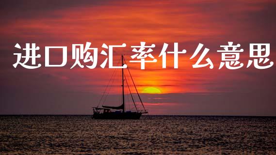 进口购汇率什么意思_https://m.15771688.com_道指实时行情_第1张