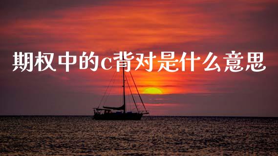 期权中的c背对是什么意思_https://m.15771688.com_期货手续费_第1张