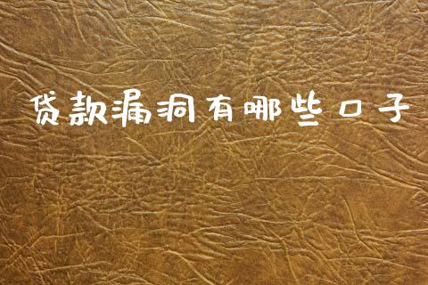 贷款漏洞有哪些口子_https://m.15771688.com_美国道指_第1张