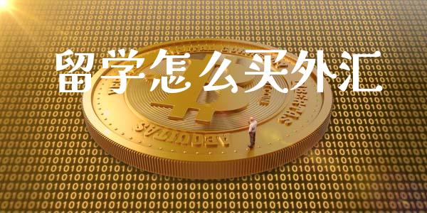 留学怎么买外汇_https://m.15771688.com_期货手续费_第1张