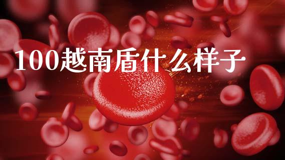 100越南盾什么样子_https://m.15771688.com_期货手续费_第1张