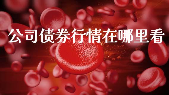 公司债券行情在哪里看_https://m.15771688.com_期货手续费_第1张