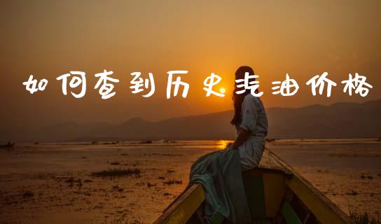 如何查到历史汽油价格_https://m.15771688.com_道指实时行情_第1张