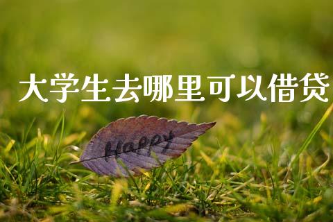 大学生去哪里可以借贷_https://m.15771688.com_美国道指_第1张