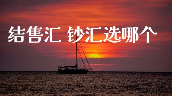 结售汇 钞汇选哪个_https://m.15771688.com_期货开户_第1张
