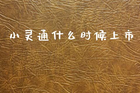 小灵通什么时候上市_https://m.15771688.com_道指实时行情_第1张