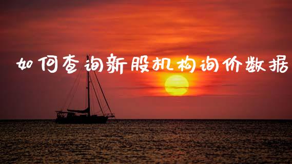 如何查询新股机构询价数据_https://m.15771688.com_美国道指_第1张