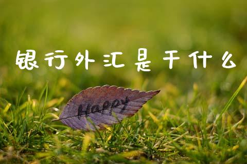 银行外汇是干什么_https://m.15771688.com_美国道指_第1张