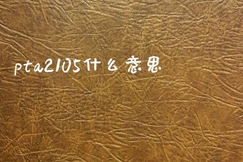 pta2105什么意思_https://m.15771688.com_期货开户_第1张