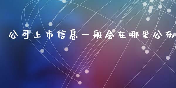 公司上市信息一般会在哪里公布_https://m.15771688.com_美国道指_第1张