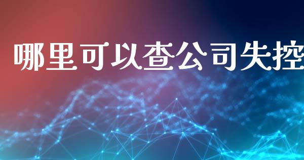 哪里可以查公司失控_https://m.15771688.com_道指实时行情_第1张
