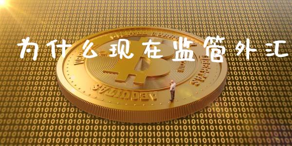 为什么现在监管外汇_https://m.15771688.com_期货开户_第1张