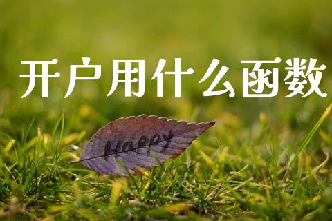 开户用什么函数_https://m.15771688.com_美国道指_第1张