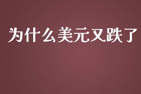 为什么美元又跌了_https://m.15771688.com_美国道指_第1张