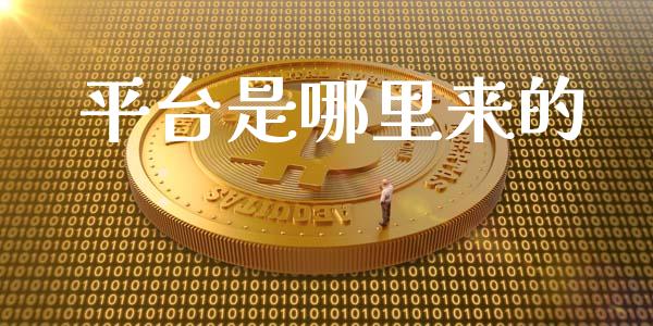 平台是哪里来的_https://m.15771688.com_道指实时行情_第1张