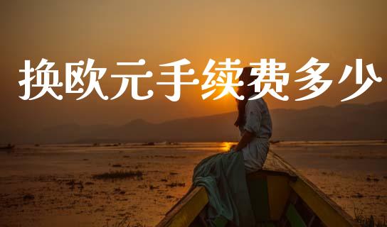 换欧元手续费多少_https://m.15771688.com_期货手续费_第1张