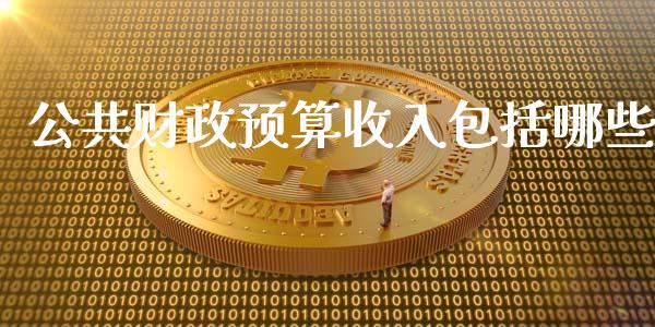 公共财政预算收入包括哪些_https://m.15771688.com_道指实时行情_第1张