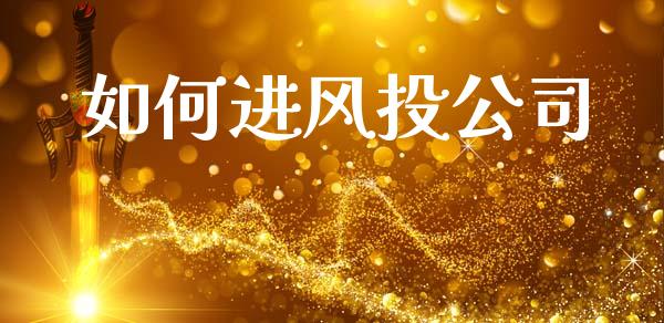 如何进风投公司_https://m.15771688.com_道指实时行情_第1张