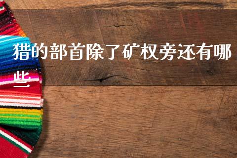 猎的部首除了矿权旁还有哪些_https://m.15771688.com_道指实时行情_第1张
