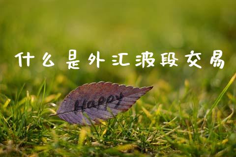 什么是外汇波段交易_https://m.15771688.com_期货开户_第1张