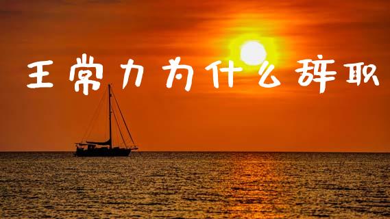 王常力为什么辞职_https://m.15771688.com_期货开户_第1张
