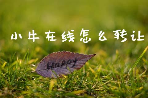 小牛在线怎么转让_https://m.15771688.com_期货开户_第1张