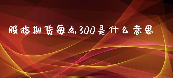 股指期货每点300是什么意思_https://m.15771688.com_期货开户_第1张