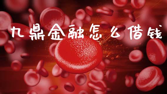 九鼎金融怎么借钱_https://m.15771688.com_道指实时行情_第1张