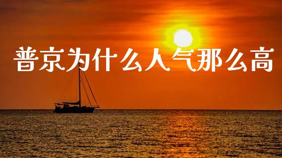普京为什么人气那么高_https://m.15771688.com_期货开户_第1张