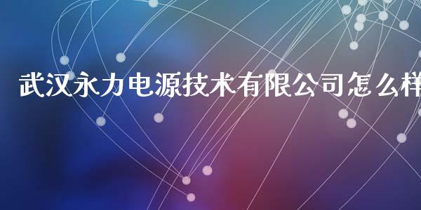 武汉永力电源技术有限公司怎么样_https://m.15771688.com_美国道指_第1张