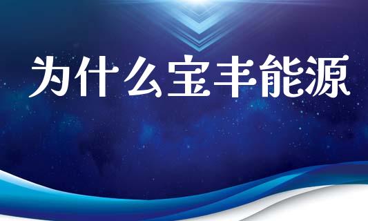 为什么宝丰能源_https://m.15771688.com_道指实时行情_第1张