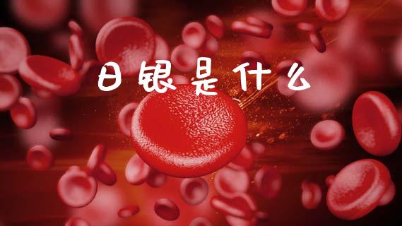 日银是什么_https://m.15771688.com_期货开户_第1张