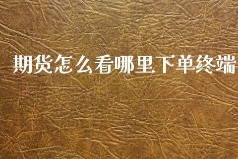 期货怎么看哪里下单终端_https://m.15771688.com_期货手续费_第1张
